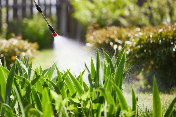 Tamper-Resistant Bait Stations for Rodents in Grand Haven