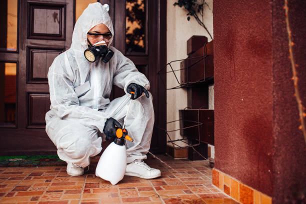 Attic and Crawl Space Rodent Treatment in Grand Haven