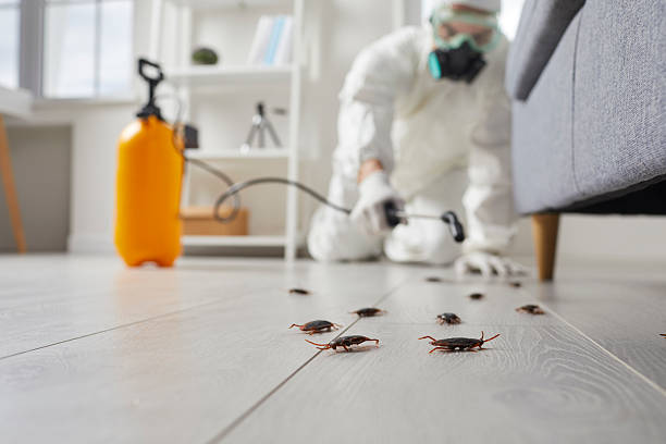 Commercial Rodent Management in Grand Haven